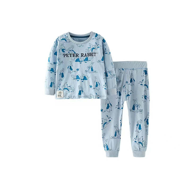 Baby Cartoon Animal Pattern Lettern Print Design Hoodies With Pants Sets